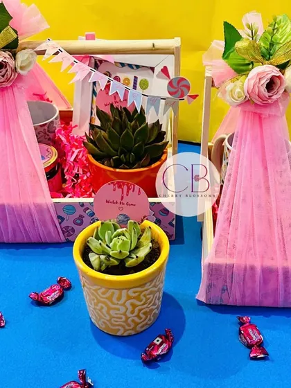 A close-up of the succulent plant included in our candy-themed first birthday return favours. It's a lovely, lasting gift that guests can take home and watch grow.