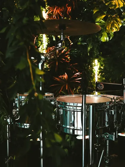 Details matter in creating an immersive theme. Even the drum kit for the live band was nestled within tropical foliage, ensuring every corner of the "Jungle Disco" felt authentic and thoughtfully designed.