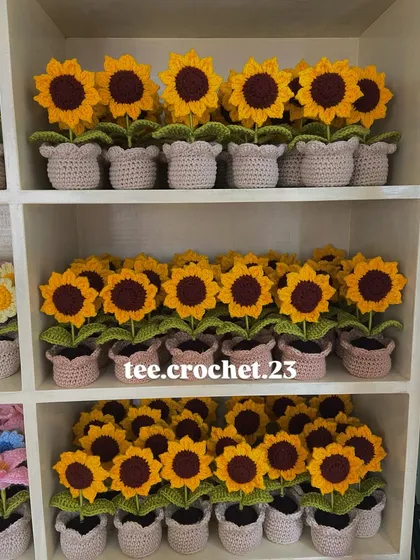 A close-up of the sunflower section on my shelves, showing the consistency and quality of each potted plant.