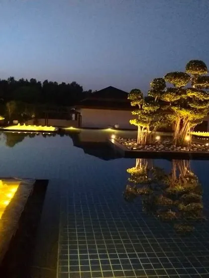 A stunning night-time view of a custom-designed reflection pool. The dramatic uplighting on the central bonsai tree island creates a focal point of serene beauty, demonstrating how strategic lighting and water can craft an unforgettable, high-end landscape.
