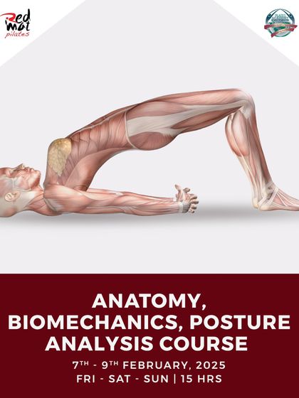 The Foundation: Anatomy & Biomechanics photo 4