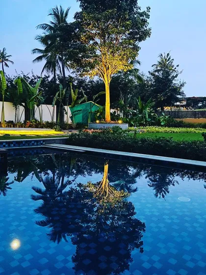 The right lighting design can transform a space after sunset. Here, the calm surface of the pool perfectly reflects an expertly lit feature tree, creating a peaceful and dramatic ambiance that extends the enjoyment of the garden into the evening.