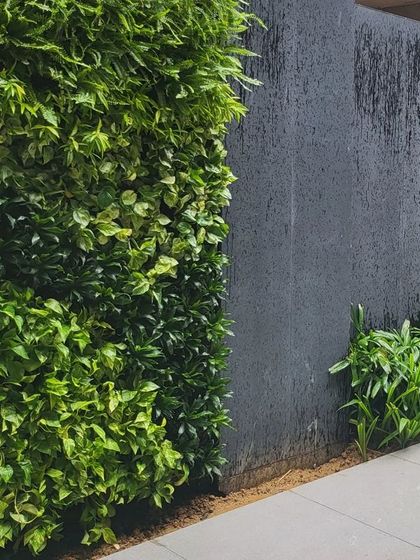 A water cascade feature integrated into a boundary wall, with a living green wall beside it. The combination of moving water and lush greenery creates a dynamic and refreshing sensory experience.