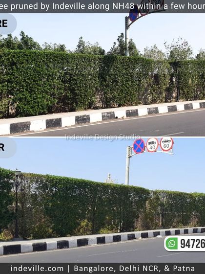 Indeville Design Studio - Landscape Design & Build The Art of Planting & Maintenance photo 8