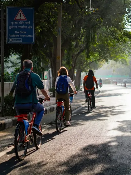 The morning light filters through the trees, creating a beautiful, dappled effect on the road. Our early tours are perfect for experiencing this tranquil beauty.