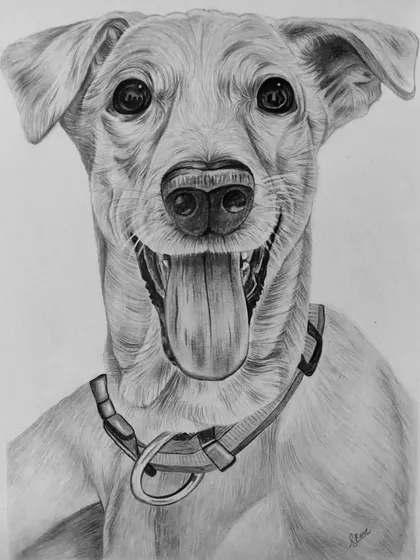 It's not just people I love to draw. This custom pet portrait captures the joyful and energetic personality of a beloved dog, from the happy tongue-out expression to the fine details of its fur.