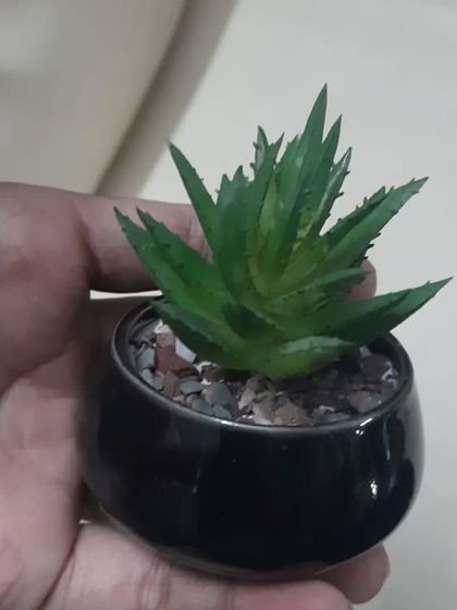 A tiny, glossy black ceramic pot holding a small artificial succulent. This is perfect for decorating very small spaces, like a work desk or a narrow shelf.