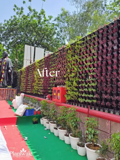 This large-scale outdoor project showcases a complete transformation. We installed a patterned vertical garden using a mix of green and red foliage, turning a plain retaining wall into a vibrant, living feature for a public space.