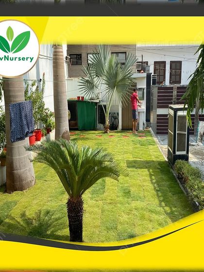 A beautiful residential garden featuring a small palm tree in the center of a lawn I installed. It shows how grass can be integrated into landscape designs.