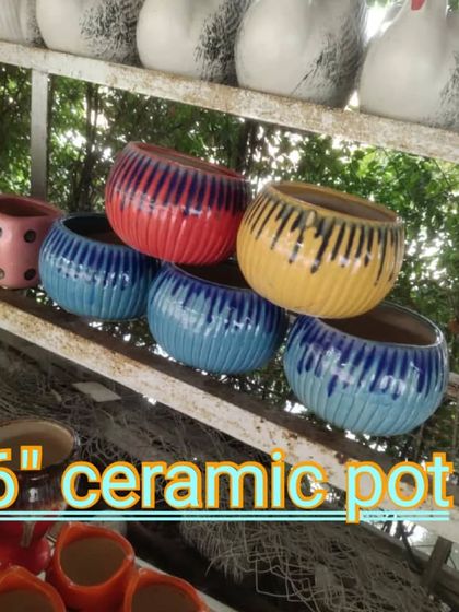 I also stock a variety of ceramic pots to go with your plants. Here are some colorful 6-inch pots available.