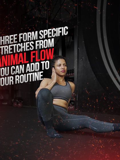 Academy of Strength - Skill-Based Fitness Workshops Master Your Movement: Animal Flow photo 24