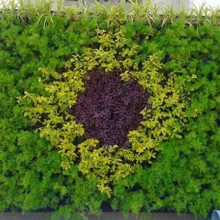 Vertical Garden Setup
