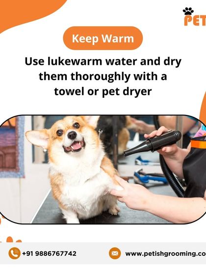 Petish Grooming - Mobile Grooming for Dogs & Cats Pet Care Tips & FAQs photo 7