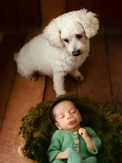 Your family includes everyone, even the furry members. I welcome pets into my sessions to capture the gentle, honest bond they share with your new baby. This quiet moment shows a love that needs no words.