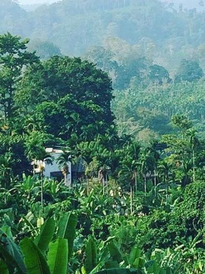 A view of the Jalakara hotel nestled within the dense, tropical landscape of Havelock Island. My goal was to create a building that felt like it had always been there, respecting the existing trees and contours of the land.