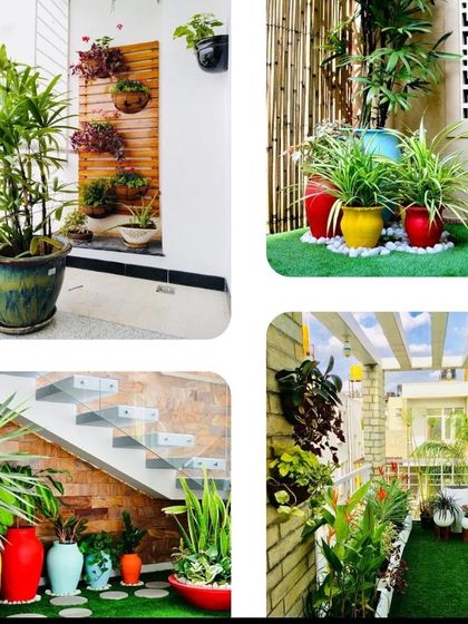 Treemendous - Interior & Exterior Plantscaping Balcony & Terrace Transformations photo 22