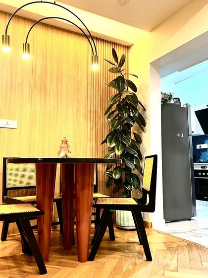 A tall Ficus Elastica adds drama and vertical interest to this stylish dining area. The dark leaves complement the modern furniture and wooden wall paneling perfectly.
