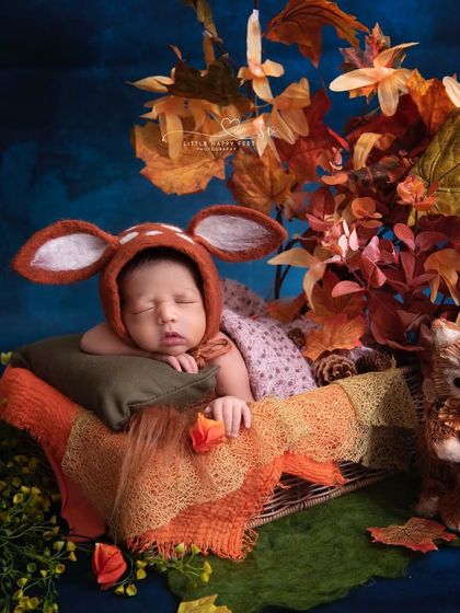A little fox snoozing amongst the autumn leaves. The warm oranges and browns of this theme are perfect for a fall baby, creating a cozy, woodland feel.