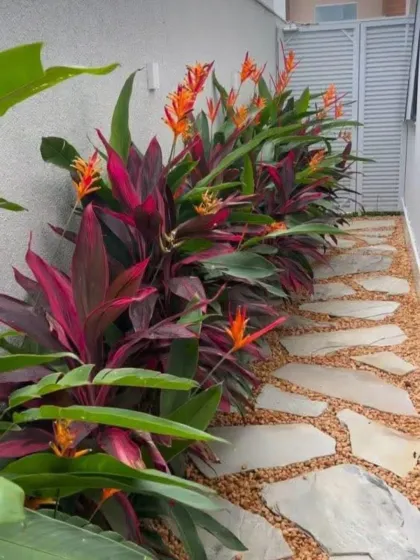 A flagstone path set in gravel, bordered by vibrant, colorful Cordyline plants. The contrast between the neutral stones and the bright red and orange foliage is striking.