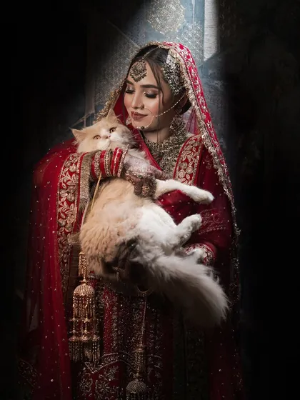 A truly unique and personal moment. This bride wanted a photo with her beloved cat, and the result is just heartwarming and beautiful.