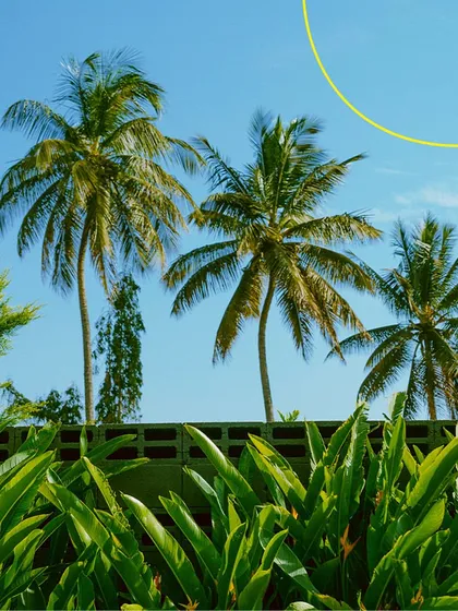 The view of the sky through the palm trees is a simple pleasure I wanted everyone to experience here. It’s a little slice of a tropical getaway without leaving the city.