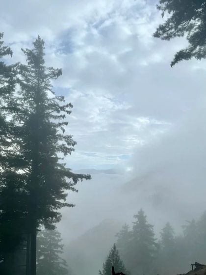 The journey begins, with misty clouds framing the tall pines. The views on our Kashmir trek are spectacular from the very first step.