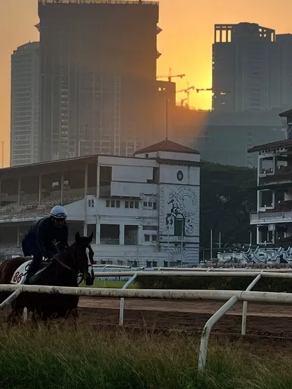 My mural at the Mahalaxmi Racecourse captured during a golden sunset. The art becomes part of the location's living story, a permanent legacy against the Mumbai skyline.
