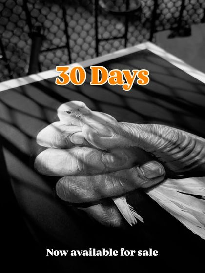 "Gentleness." This drawing of a hand carefully holding a bird was part of my 30-day challenge. These original artworks are now available for sale.