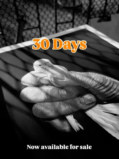 "Gentleness." This drawing of a hand carefully holding a bird was part of my 30-day challenge. These original artworks are now available for sale.
