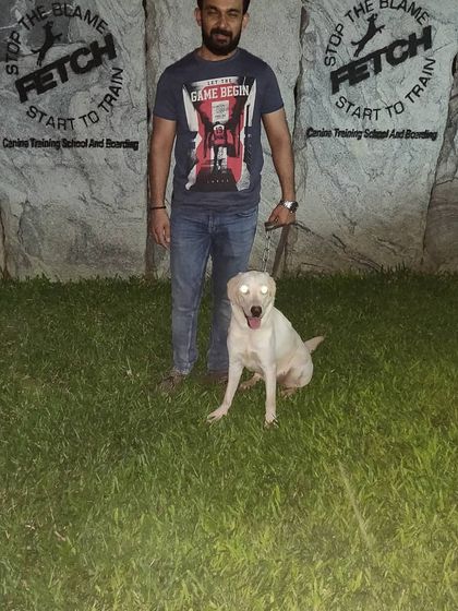 Another happy graduate. This Labrador and his owner are ready to enjoy their new and improved relationship.