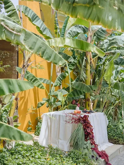 Nestled among tropical leaves, our Orchard Table setting offers a vibrant escape. This setup, with its dramatic floral runner and fresh fruits, is perfect for a sun-drenched brunch or an intimate anniversary celebration.