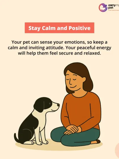 CarryMyPet - Pet Travel & Parenting Consultation Pet Parenting & Wellness photo 3