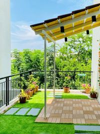 Indoor Plant Styling