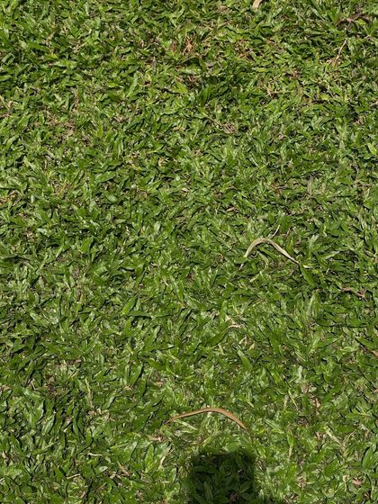 Rakshith Landscaping - Landscape Design & Installation Lush Lawns: Natural & Artificial photo 8