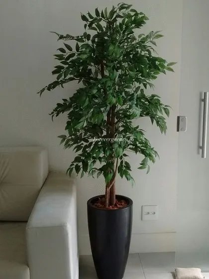 A slender artificial ficus tree in a sleek black planter, ideal for placing in corners or next to furniture in a modern home or office.
