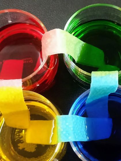 Tiny Mustards - Montessori Preschool Program Curious Minds: Science & Sensory Play photo 31