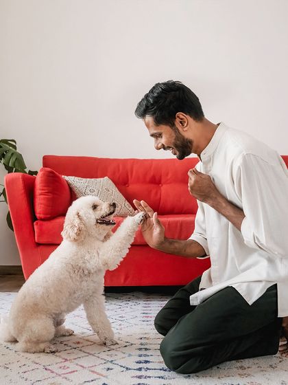 A playful high-five between Dinkan and his dad. This action shot captures their fun-loving dynamic and the tricks they share.