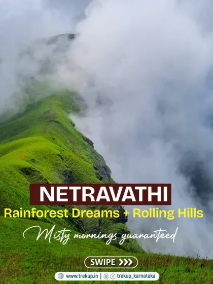 Netravathi, a trek that promises "Rainforest Dreams + Rolling Hills" and guaranteed misty mornings.