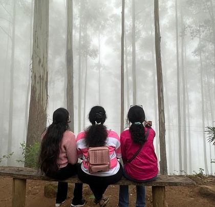 Three friends soaking in the foggy, mystical atmosphere of the Kodaikanal forests. It's a perfect spot for quiet reflection.