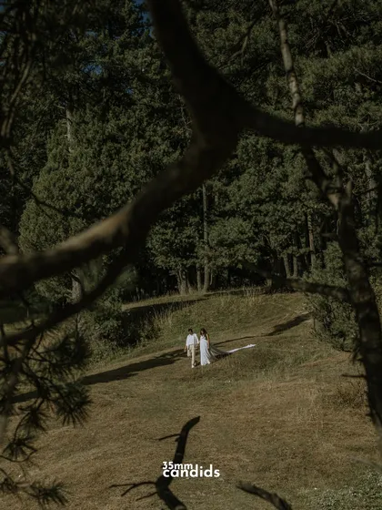A voyeuristic shot of the couple walking on a grassy hill, framed by tree branches. It creates a sense of a private, stolen moment.