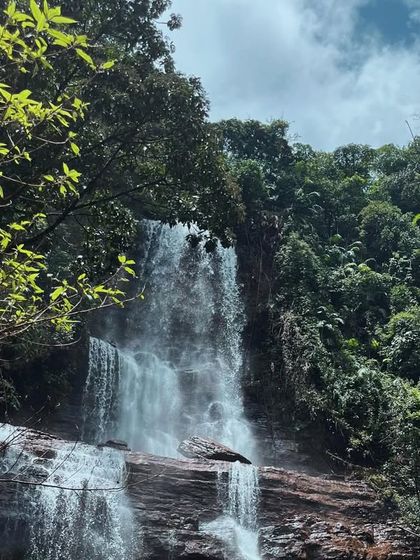 A beautiful shot of a waterfall cascading down through lush green forest. This is the kind of serene beauty we seek out on our trips.