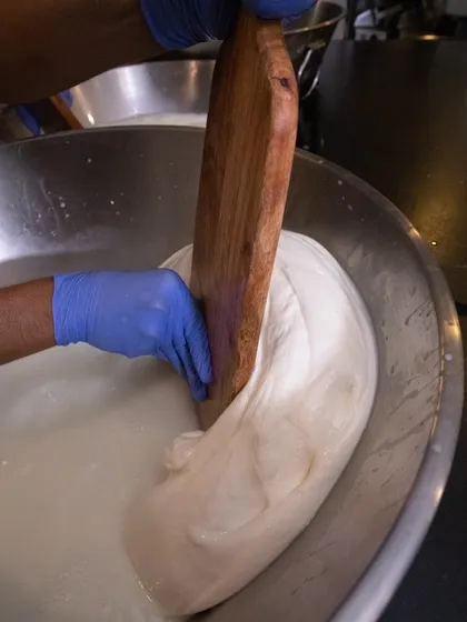 Our cheesemaker uses a wooden paddle to stretch the warm mozzarella curds. This traditional technique develops the cheese's signature elastic texture.