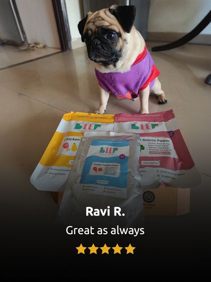 "Great as always." We strive for consistency in quality and taste, and this cute pug seems to agree.