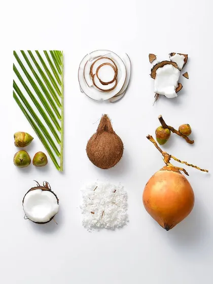 From the hard outer shell to the soft white flesh, this composition explores the different textures of a coconut. It’s a creative approach to product photography that tells a complete story.
