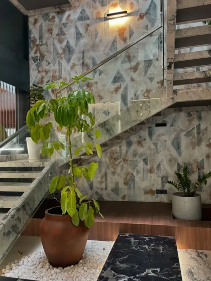 A Schefflera plant in a terracotta pot brings a touch of warmth and natural texture to this modern staircase. The placement of plants in unexpected places, like under the stairs, can make a space feel more complete and thoughtfully designed.