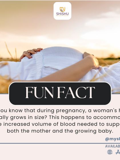 Fun fact: a woman's heart actually grows in size during pregnancy. This is to accommodate the increased blood volume needed to support both the mother and the developing baby.