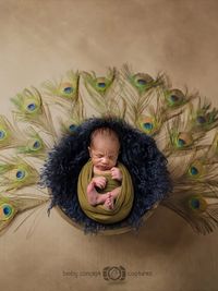 Newborn Photography