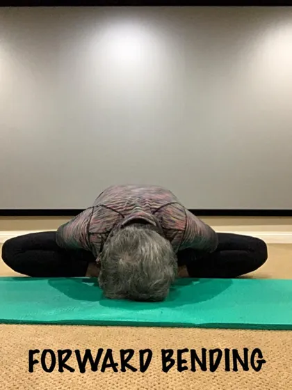 A forward bend in Baddha Konasana, or bound angle pose. This is an excellent hip opener that also stretches the inner thighs and groin.