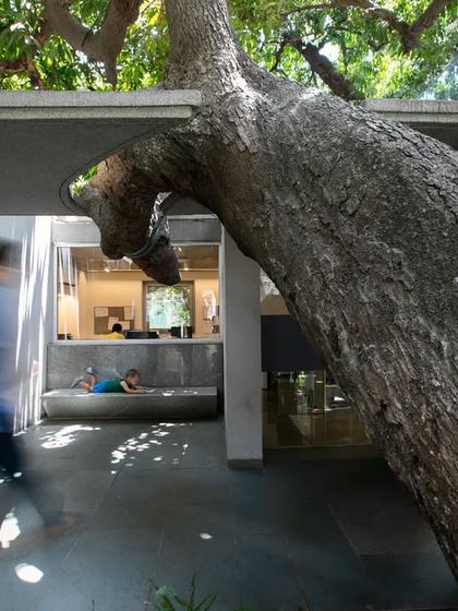 The Children's Museum at CSMVS in Mumbai is carefully nestled under the canopy of large, existing trees. The design preserves the natural heritage of the site while creating a protected, shaded environment for the new building.