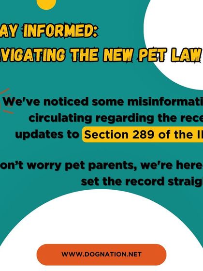 DogNation - Dog Training & Behavior Dog Care & Wellness Guides photo 9